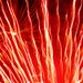 20. Serbian fire works