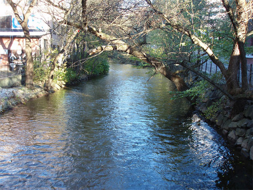 05-1. the river in november